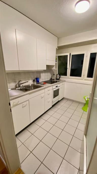 Gesamte Wohnung In Zurich クローテン エクステリア 写真